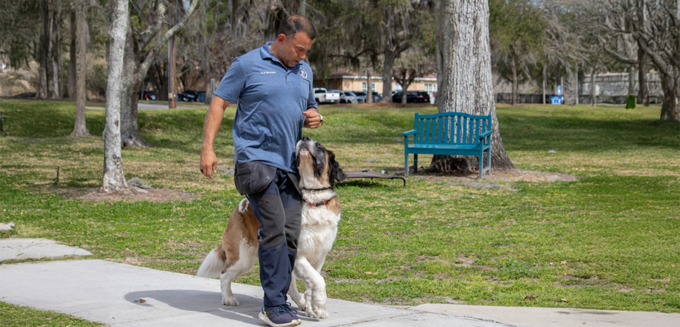 Canine Behavior Rehabilitation at Caspers Camp Hope. Gainsville, FL