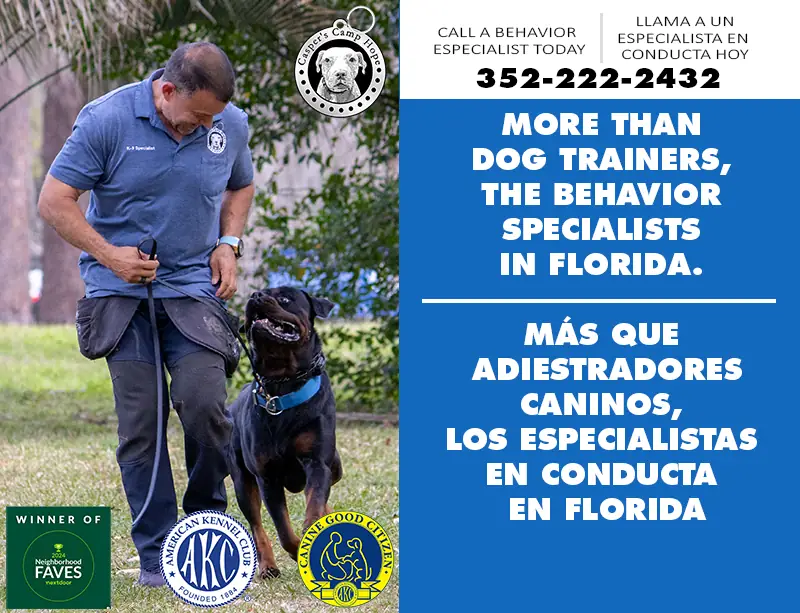 Call a behavior specialist 352-222-2432