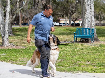 Picture for category Casper’s Camp Hope, Off Leash Dog Training Camp in Gainesville, FL