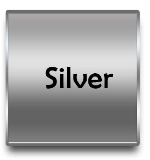Picture of Silver Sponsor