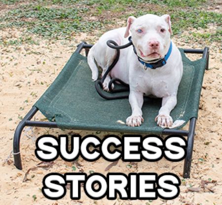 Picture for category Success Stories