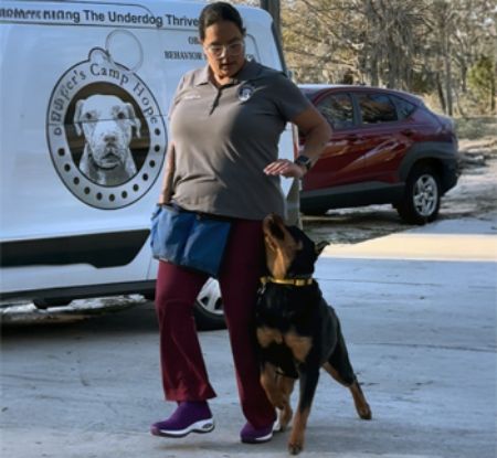 Picture for category Off Leash Training