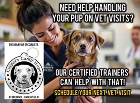 Picture for category Stress-Free Veterinary Visits with Casper’s Camp Hope Dog Trainer Support