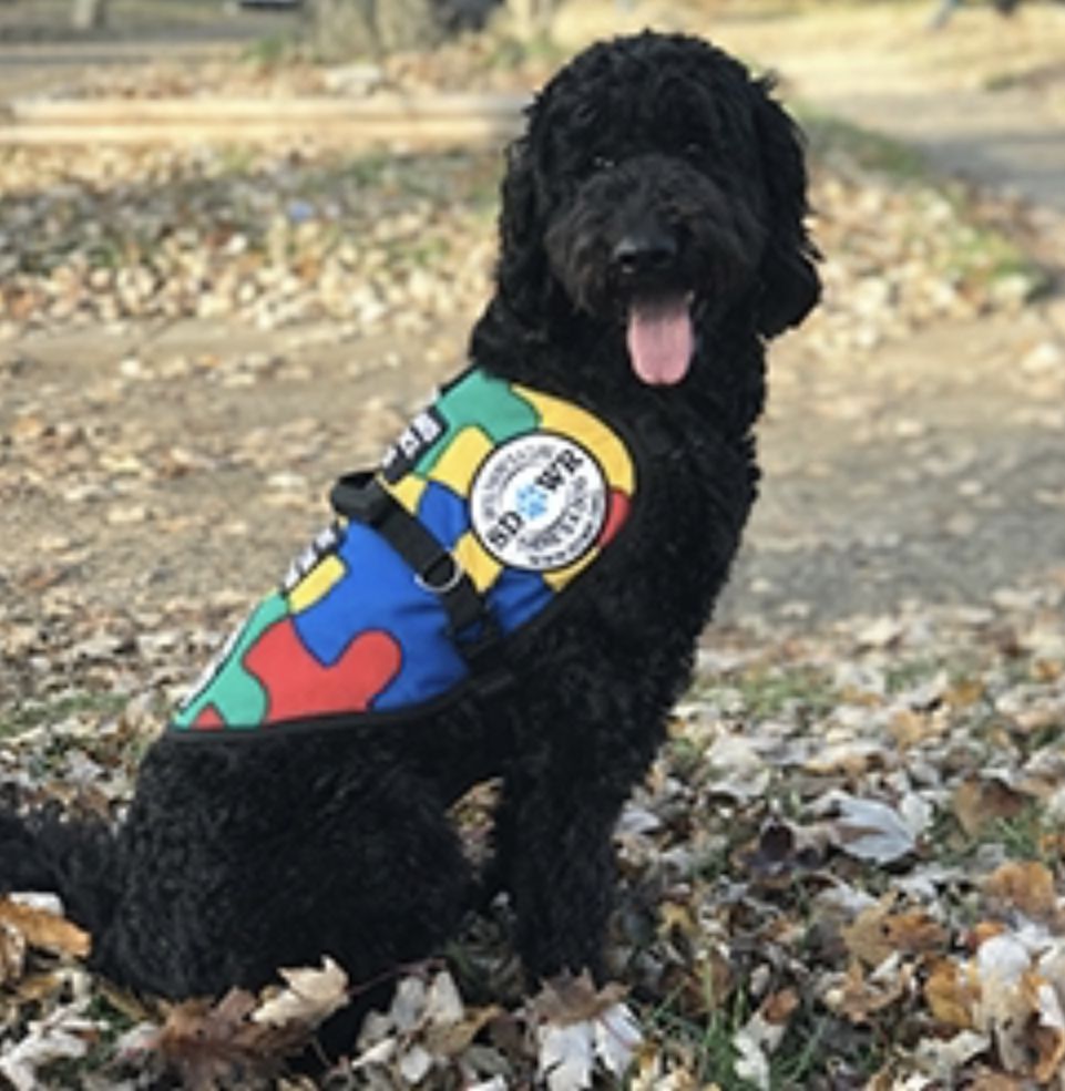 Perro de servicio para nino autista