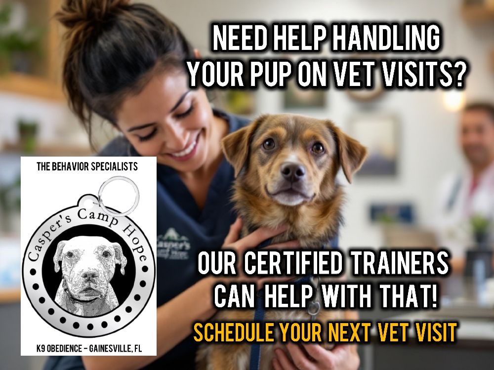 veterinary visits