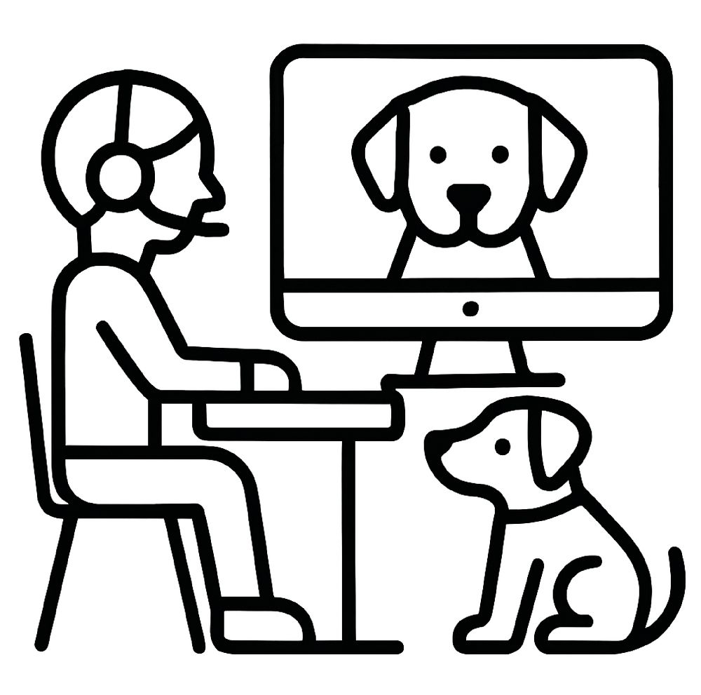 Virtual Consulting/Classes Gainsville, FL